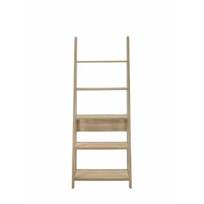 Ladder Bookcase