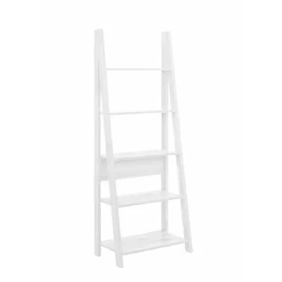 Ladder Bookcase