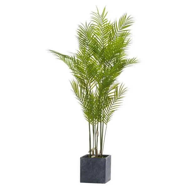 Large Paradise Potted Palm