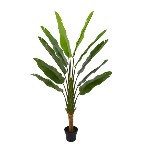 Extra Large Ornamental Strelitzia Tree