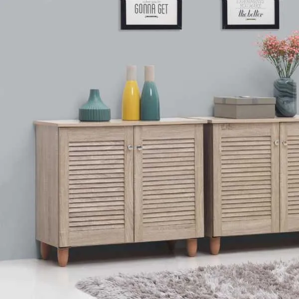 2 Door Shoe Cabinet