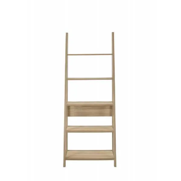 Ladder Bookcase