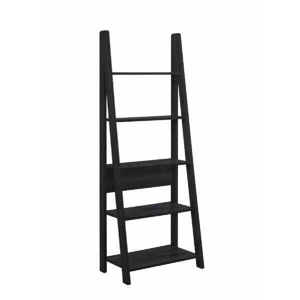 Ladder Bookcase