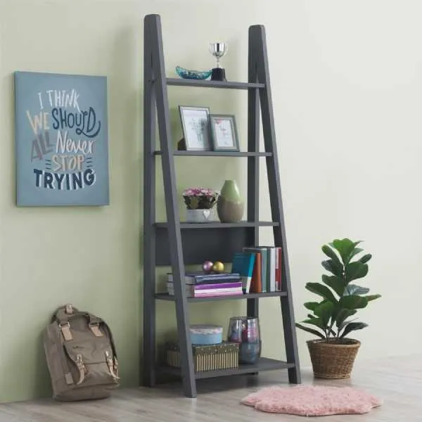 Ladder Bookcase