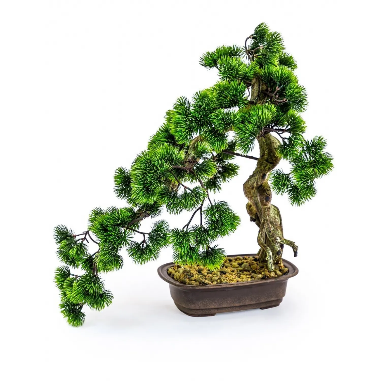 Ornamental Large Bonsai Tree In Iron Pot