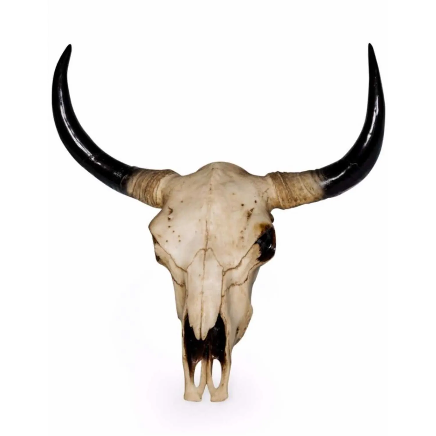 Wall Mounted Bison Animal Skull Head